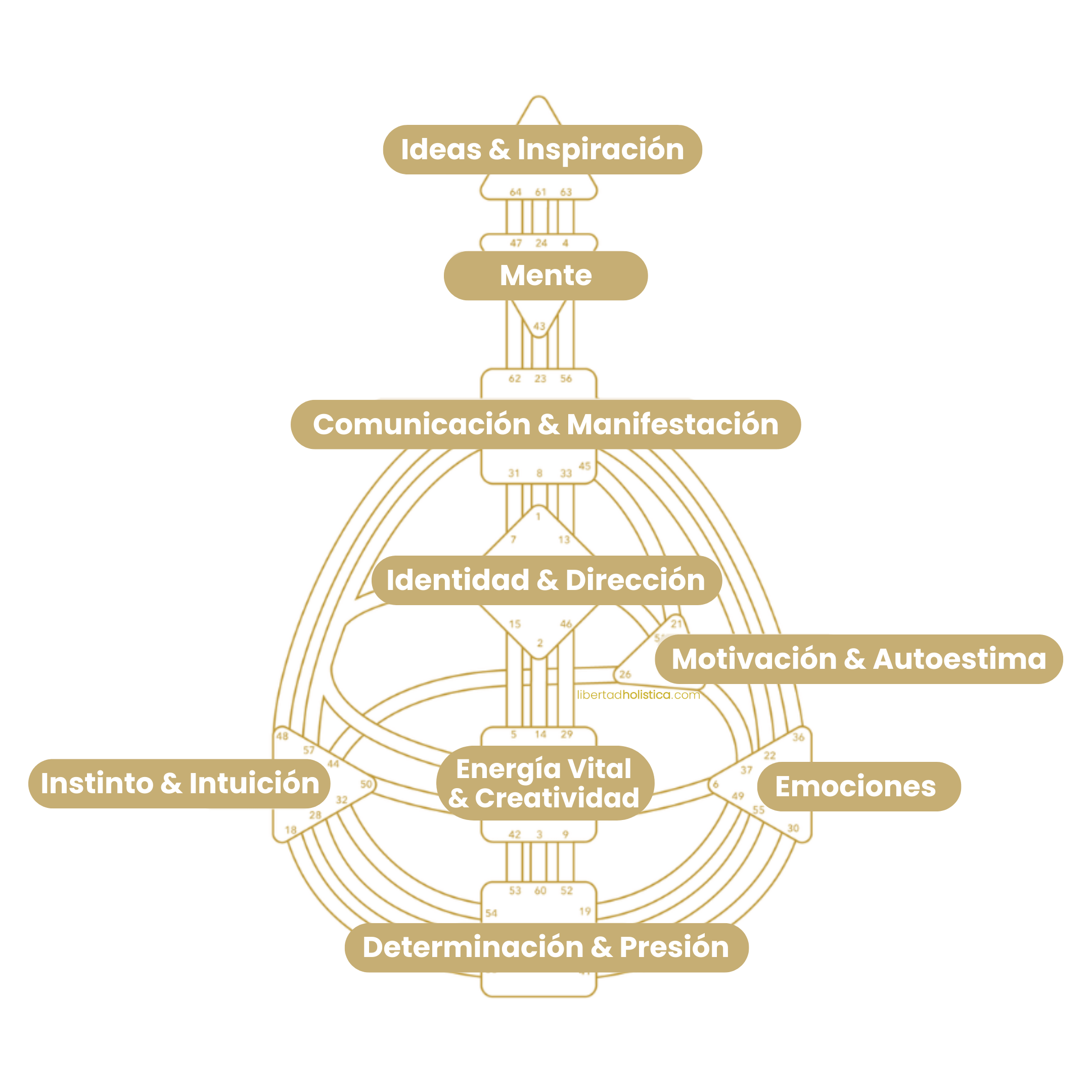 Carta de Diseño Humano OPT Carta de Diseño Humano Libertad Holistica
