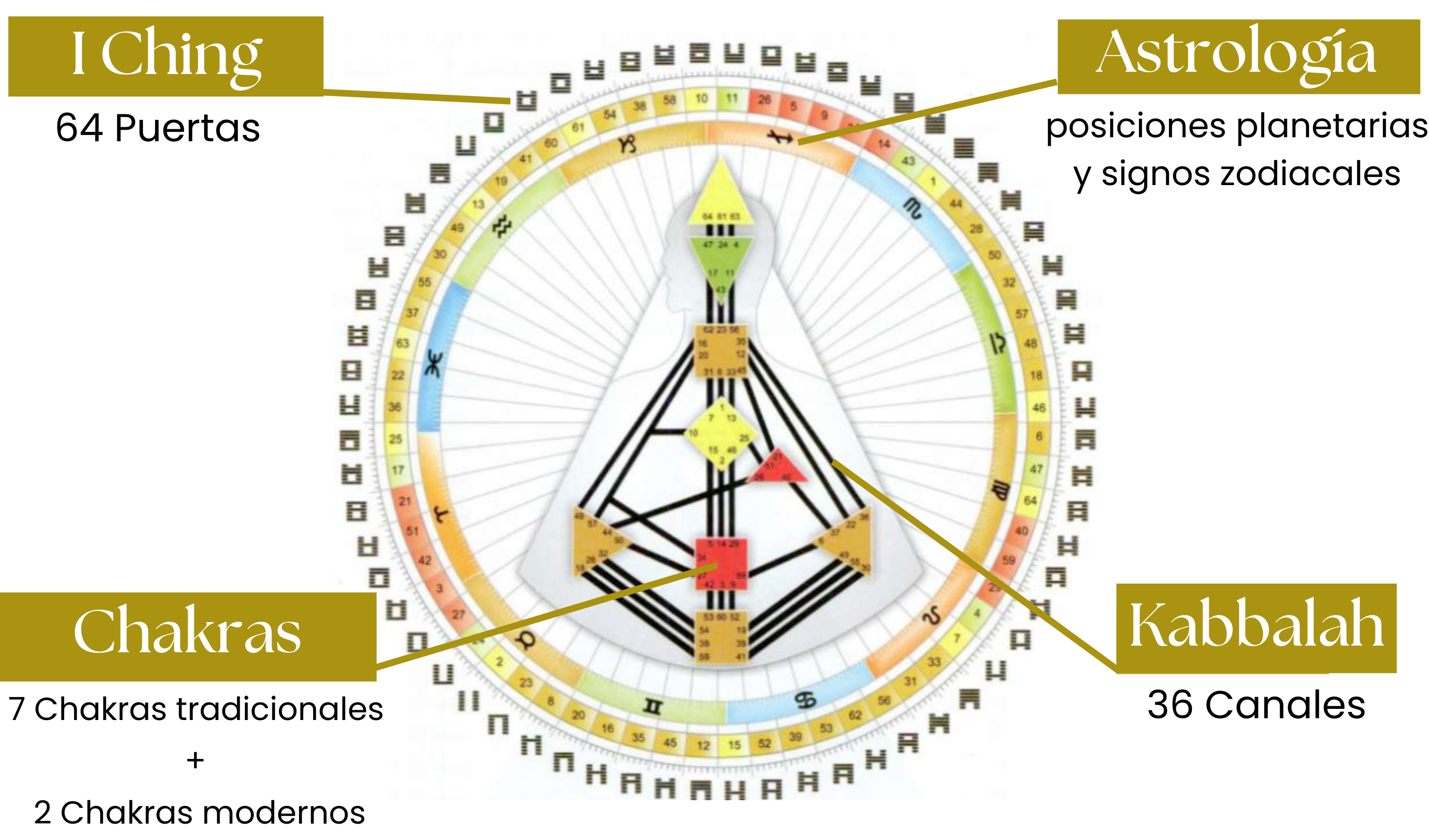 Diseño Humano Libertad Holistica Diseño Humano Libertad Holistica