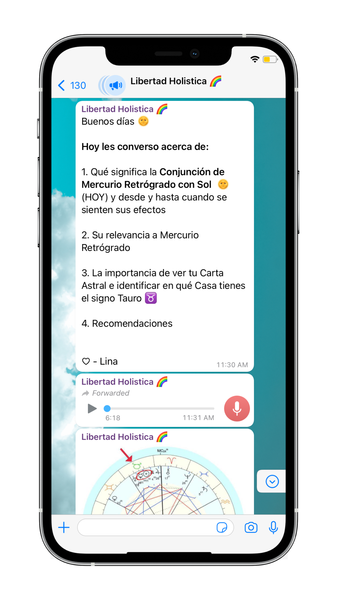 Whatsapp Grupo - LibertadHolistica.com